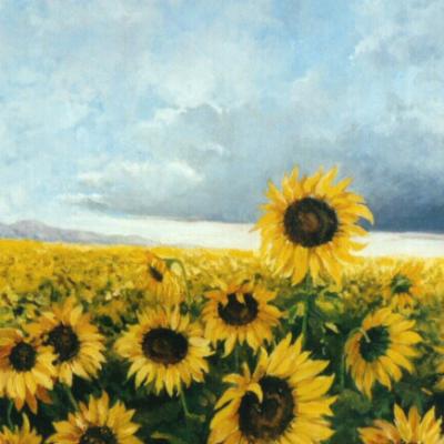Girasoli 2